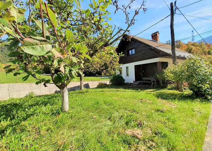 Bella Bela 18a アパート ブレッド